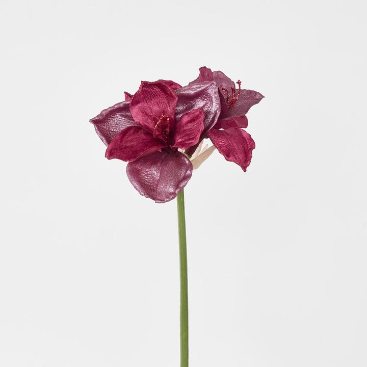 Amaryllis Spray with 2 Flowers Burgundy