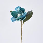 Single Magnolia with 2 Leaves Teal