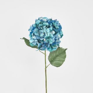 Single Hydrangea with 2 Leaves Teal