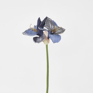 Amaryllis Spray with 2 Flowers Blue