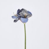 Amaryllis Spray with 2 Flowers Blue