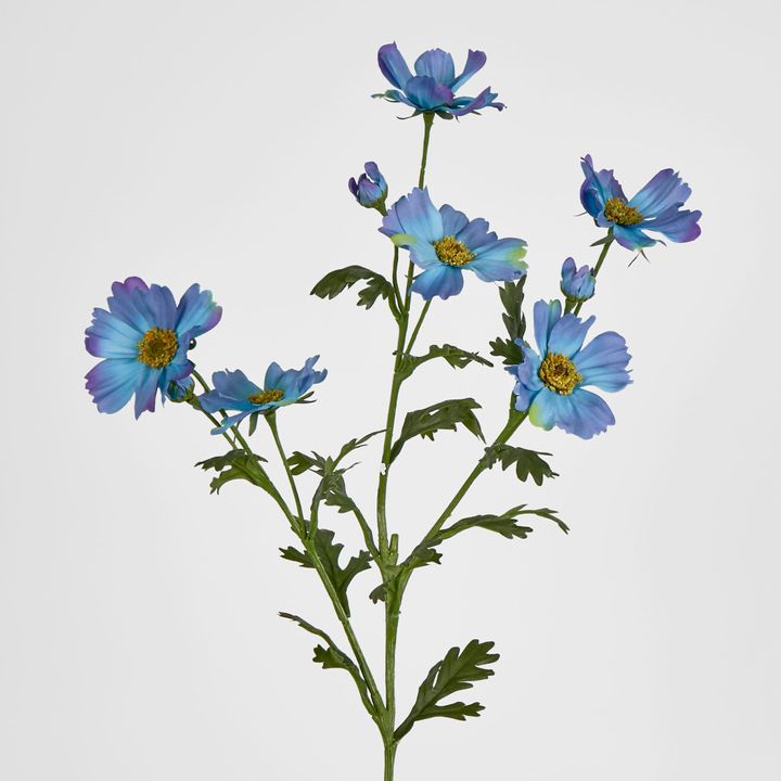 Blue Cosmos Spray by 3