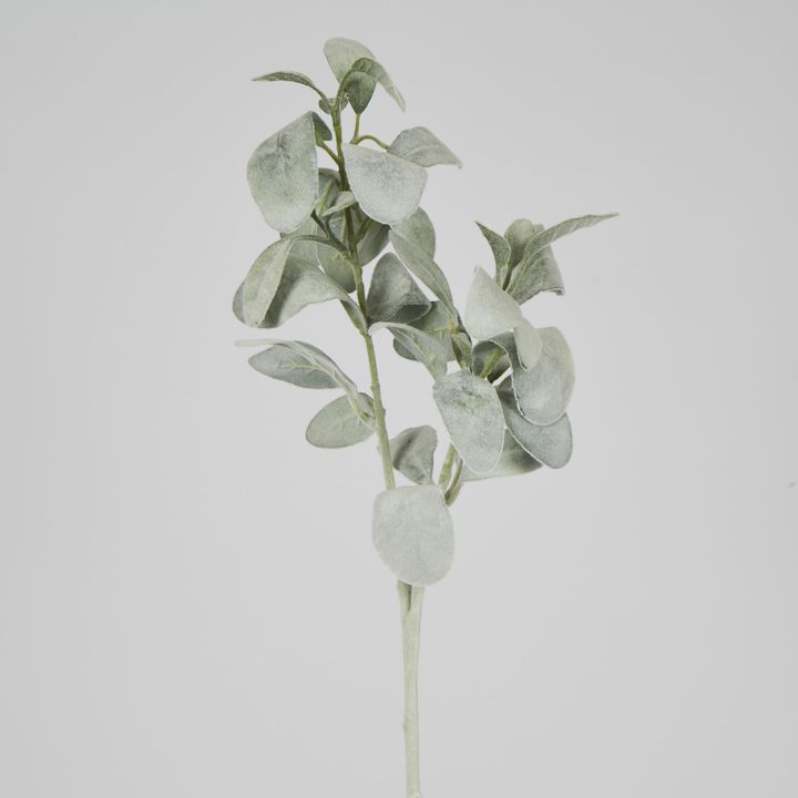 Lambs Ear 71CM Green