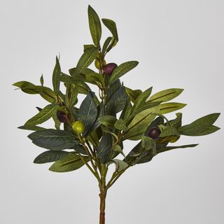 Olive Leaf Branch with Olives