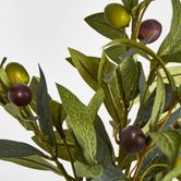 Olive Leaf Branch with Olives