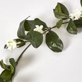 Stephanotis Garland 6FT