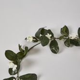 Stephanotis Garland 6FT