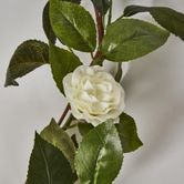 White Camellia Garland 6FT