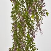 Boxwood Hanging Vine x 5 with Purple Berries