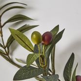 Olive Leaf Garland with Olives