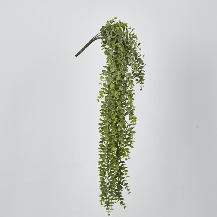 Green Eucalyptus Hanging Bush x 6