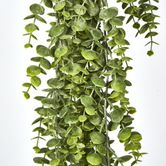 Green Eucalyptus Hanging Bush x 6