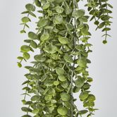 Green Eucalyptus Hanging Bush x 6