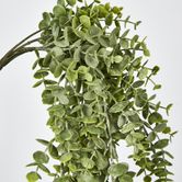 Green Eucalyptus Hanging Bush x 6