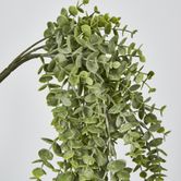 Green Eucalyptus Hanging Bush x 6