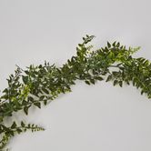 182cm Baker Fern Garland