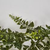 182cm Baker Fern Garland