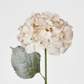 Snow Covered Pink Christmas Hydrangea with 2 Leaves