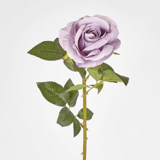 Lilac Purple Open Rose Stem 68cm