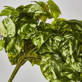 Real Touch Pothos hanging Bush x 12