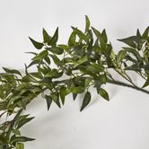 182cm Green Ruscus Leaf Garland