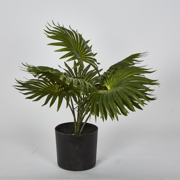 45cm Real Touch Green Fountain Palm in Pot