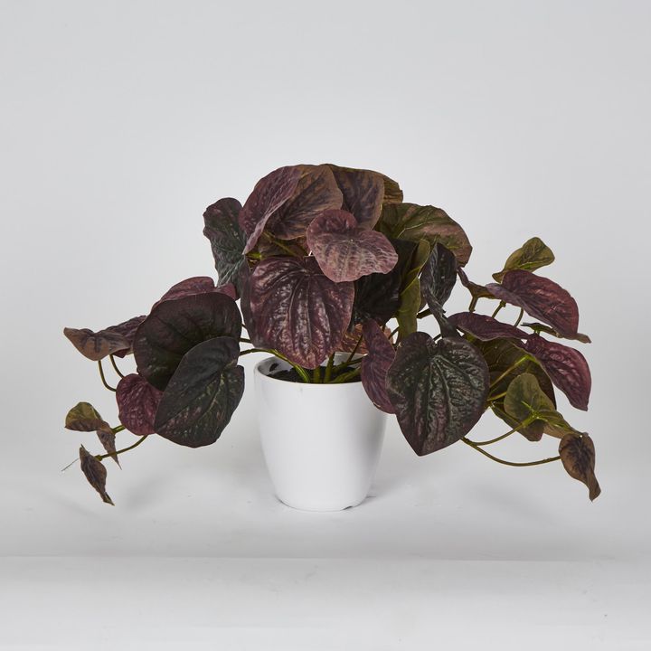 28cm Burgundy Real Touch Hanging Peperomia Leaf Bush in White Pot