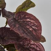 28cm Burgundy Real Touch Hanging Peperomia Leaf Bush in White Pot