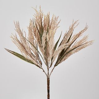 Light Brown Grass Bush