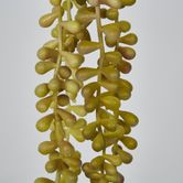 73cm Light Green Yellow Pearl Necklace Vine x 5