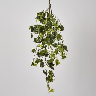 Green Ivy Spray with 140 Verigated Leaves