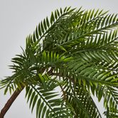 Hanging Pitch Pine Bush