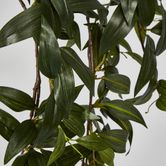 Japanese Bamboo Green Hanging Bush x 12 with 262 leaves