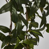 Japanese Bamboo Green Hanging Bush x 12 with 262 leaves