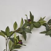 Olive Garland 182cm