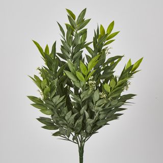 Green Ruscus Bush x9