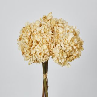 Dried Cream Hydrangea x 3 Bundle