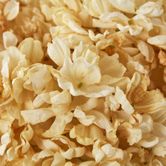 Dried Cream Hydrangea x 3 Bundle