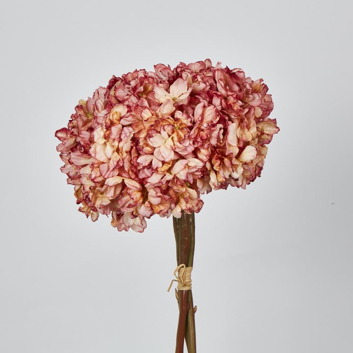 Dried Pink Hydrangea x 3 Bundle