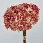 Dried Pink Hydrangea x 3 Bundle