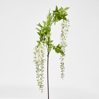 Wisteria Branch White