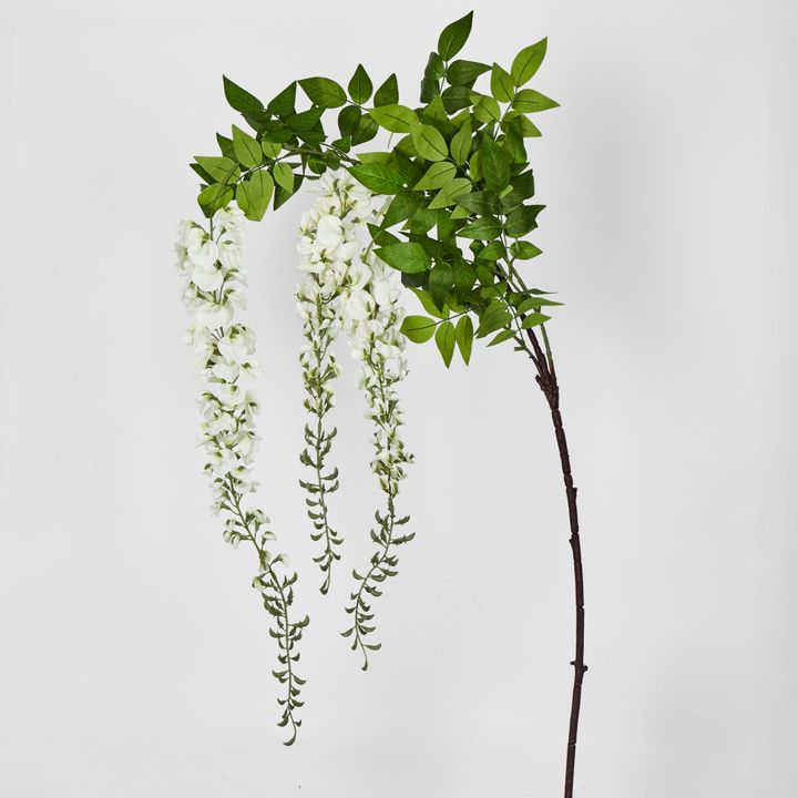 Wisteria Branch White