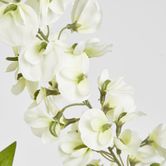 Wisteria Branch White