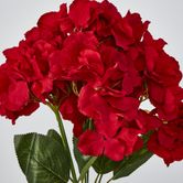 Red Hydrangea Bush x 5