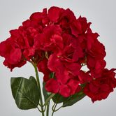 Red Hydrangea Bush x 5