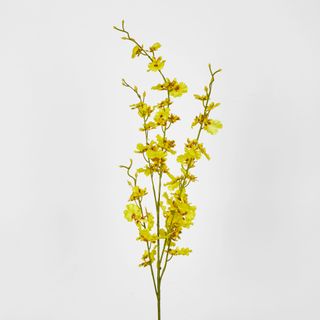 Yellow Dancing Orchid