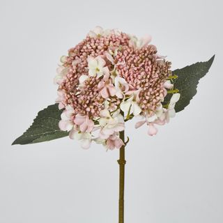 Light Dusty Pink Short Stem Hydrangea