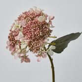 Light Dusty Pink Short Stem Hydrangea