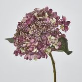 Short Stem Purple Hydrangea