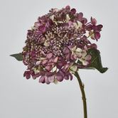 Short Stem Purple Hydrangea